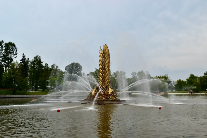Photo by EVGEN SLAVIN on Unsplash — representative image for Berkeley History Room Open Hours @Central