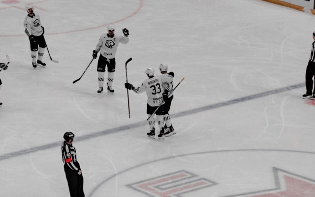 Photo by Klim Musalimov on Unsplash — representative image for Wild vs. St. Louis Blues
