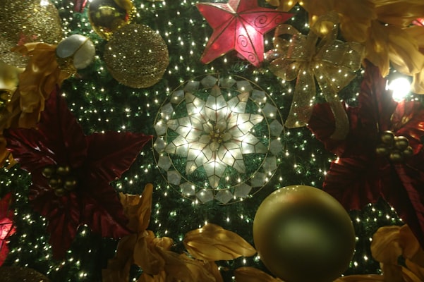 Photo by Toni Cuenca on Unsplash — representative image for Dinosaur National Monument