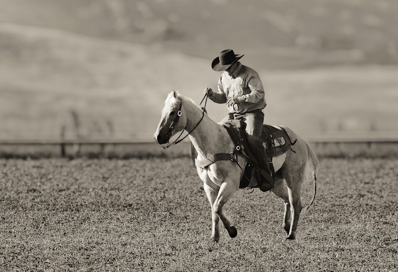 Photo by Don Starkey on Unsplash — representative image for Orchard Staging Area