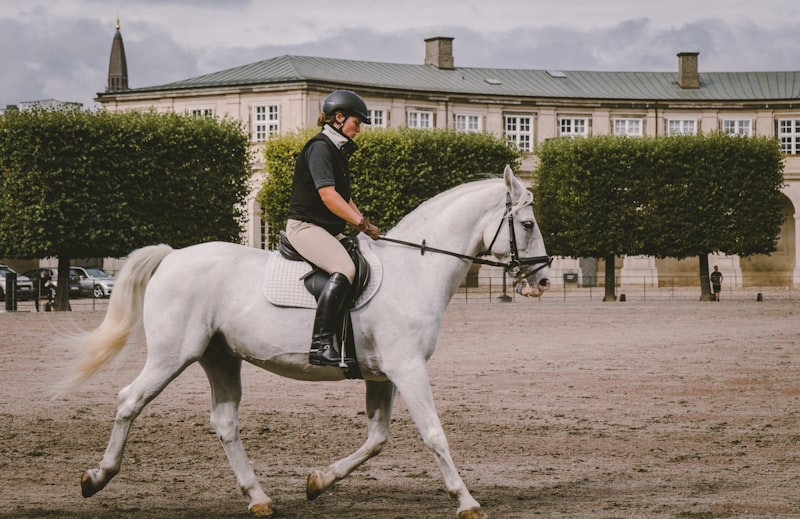 Photo by Kristijan Arsov on Unsplash — representative image for San Dimas Equestrian Center