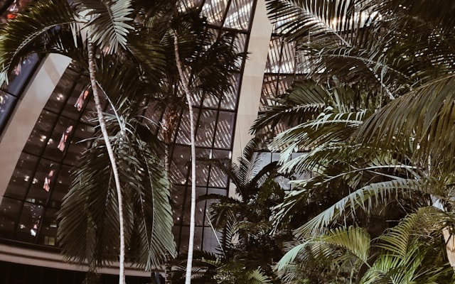 Photo by Jorge Vidales on Unsplash — representative image for Trinity Alps Resort