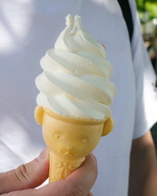 Photo by Dimitar Krastev on Unsplash — representative image for Bruster's Real Ice Cream