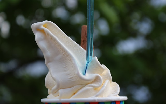 Photo by Lidia Nikole on Unsplash — representative image for iRoll Ice Cream