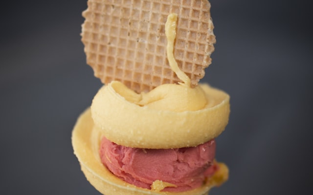 Photo by Kaja Reichardt on Unsplash — representative image for Northridge Ice Cream Inc