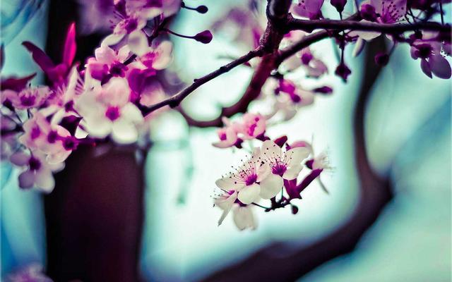 Photo by Jin-Woo Lee on Unsplash — representative image for Workshop: Bibimbap Remix Pop-Up with June Jo Lee