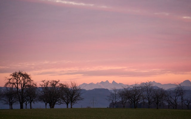 Photo by Andrej Lišakov on Unsplash — representative image for World Famous Salsa Trail