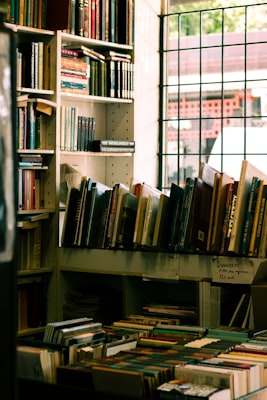 Photo by Yue WU on Unsplash — representative image for York Street Branch Library