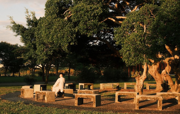 Photo by Vitaly Gariev on Unsplash — representative image for Meditation with Sara