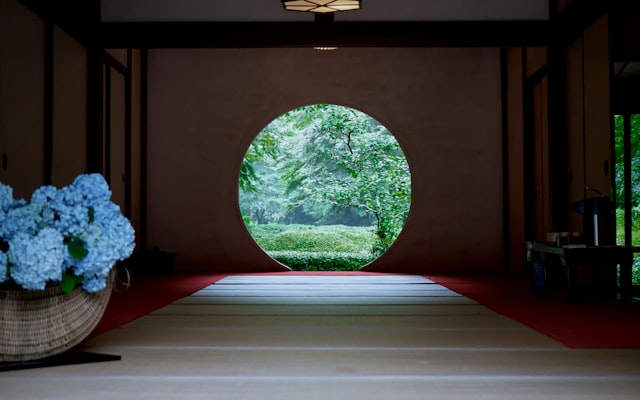 Photo by Andrea Sun on Unsplash — representative image for Mindfulness Student Club Meeting