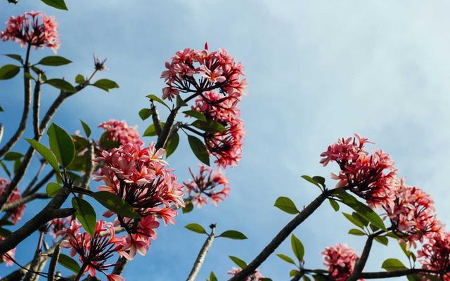 Photo by Igor Savelev on Unsplash — representative image for Kebab Kurry