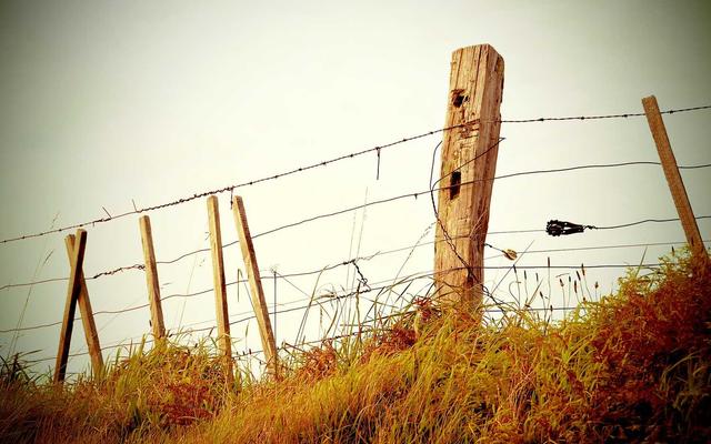 Photo by Markus Winkler on Unsplash — representative image for Pita Pit