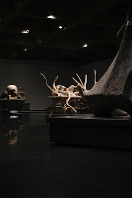 Photo by Jon Egia on Unsplash β representative image for Pennypack Park