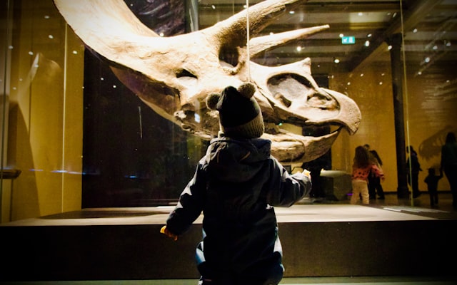 Photo by Hasibul Hasan on Unsplash — representative image for Canadian Museum of History