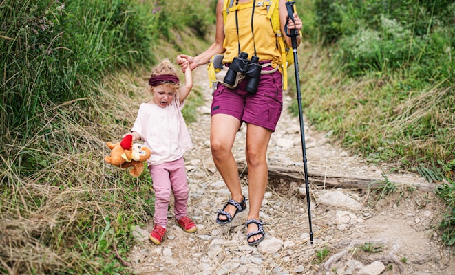 Photo by Wes Hicks on Unsplash — representative image for Orlando Tree Trek Adventure Park
