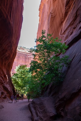 Photo by Waqar Mujahid on Unsplash — representative image for SOUDER AVENUE TRAIL PARKLAND