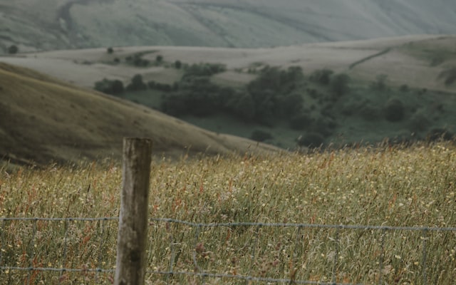 Photo by Annie Spratt on Unsplash — representative image for Aliante Nature Discovery Park