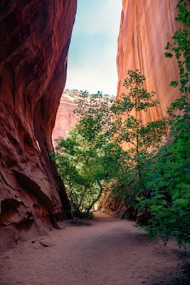 Photo by Sporisevic Photography on Unsplash — representative image for A.C. Warnack Nature Park