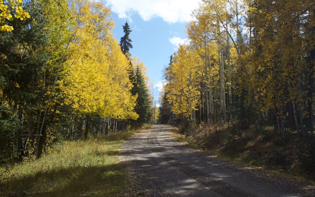 Photo by Benoit Deschasaux on Unsplash — representative image for Lake Las Vegas Water Sports
