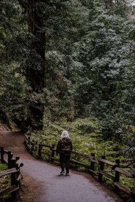 Photo by fr0ggy5 on Unsplash — representative image for StoryWalk® at Mason Mill Park