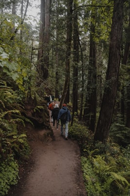 Photo by Gabriele Romano on Unsplash — representative image for Lanier Boulevard Parkway