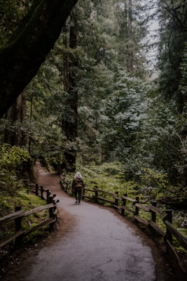 Photo by Leticia Golubov on Unsplash — representative image for Hunter Sports Park