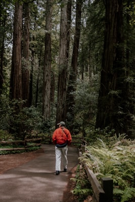 Photo by Emily Wassmansdorf on Unsplash — representative image for Washington Park/Thru Hoyt