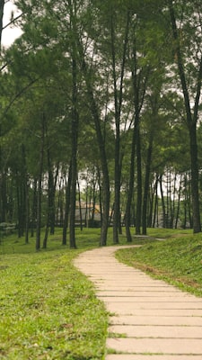 Photo by Leticia Golubov on Unsplash — representative image for DAVE POTELL MEMORIAL SPORTS FACILITY (Parks)