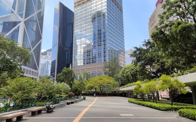 Photo by Cheung Yin on Unsplash — representative image for Marilyn Redd Park