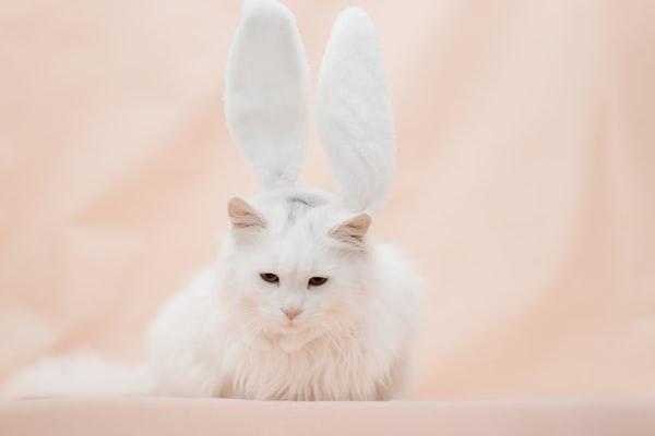 Photo by Marcin Szmigiel on Unsplash — representative image for Gabrielino Equestrian Park