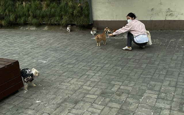 Photo by Geralty Yichen on Unsplash — representative image for Ragle Ranch Regional Park