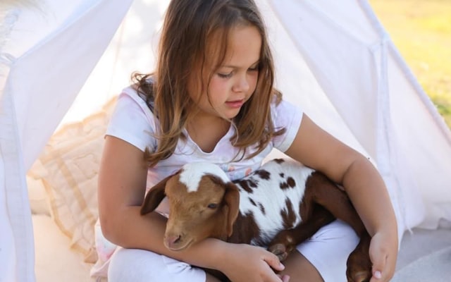 Photo by T C on Unsplash — representative image for Petskull Brewing