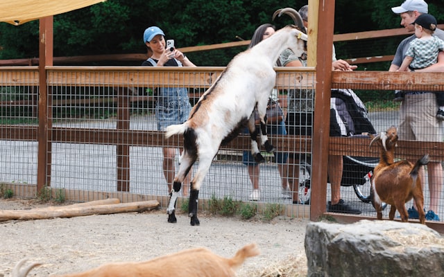 Photo by Nellie Adamyan on Unsplash β representative image for Robertson Park & Equestrian Center