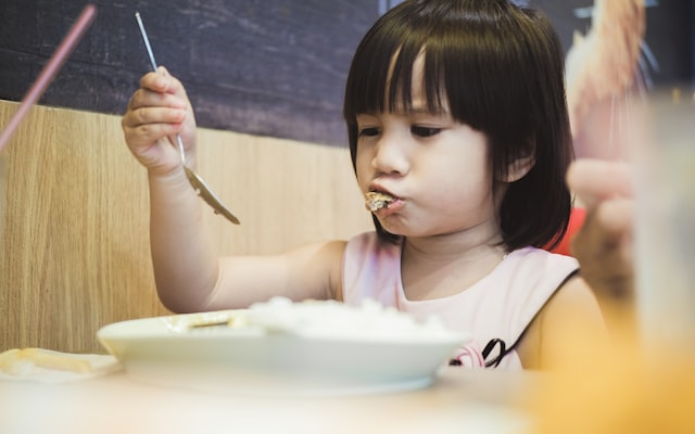 Photo by JSB Co. on Unsplash — representative image for Preschool Time (3-5 Years)