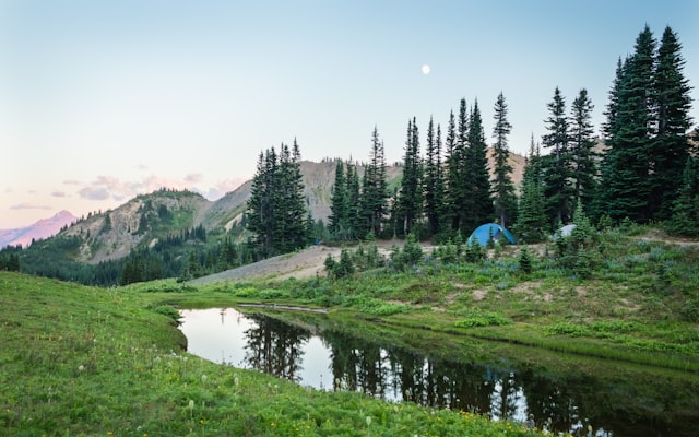 Photo by Greg Rosenke on Unsplash β representative image for Scout Hall