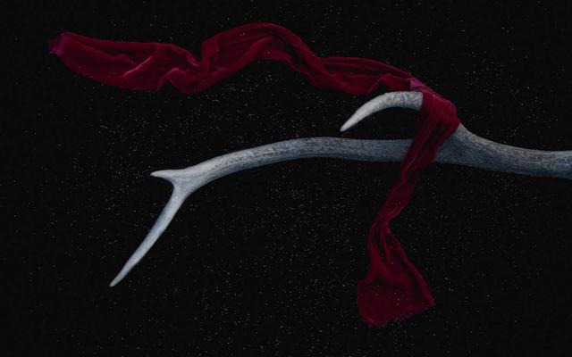 Photo by Koon Chakhatrakan on Unsplash — representative image for Marietta Crawfish