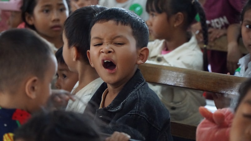 Photo by Dang Truong on Unsplash — representative image for Cello Choir