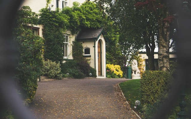 Photo by Kateryna Hliznitsova on Unsplash — representative image for The Picklr Henderson