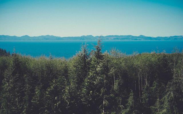 Photo by Bruno Martins on Unsplash — representative image for Texas Steakhouse and Saloon