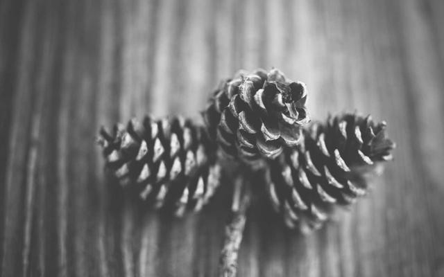 Photo by Xavier Wolf on Unsplash — representative image for 8 Oz Korean Steakhouse