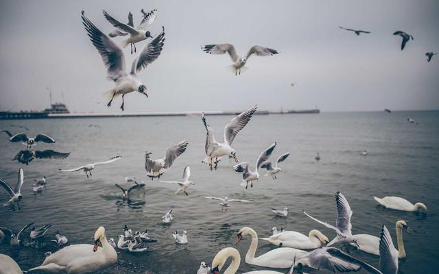 Photo by Sebastian Doll on Unsplash — representative image for Mizu Japanese Steak House