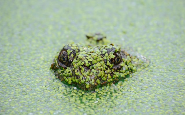 Photo by Ahmet Kurt on Unsplash — representative image for Tech Talk One-on-One