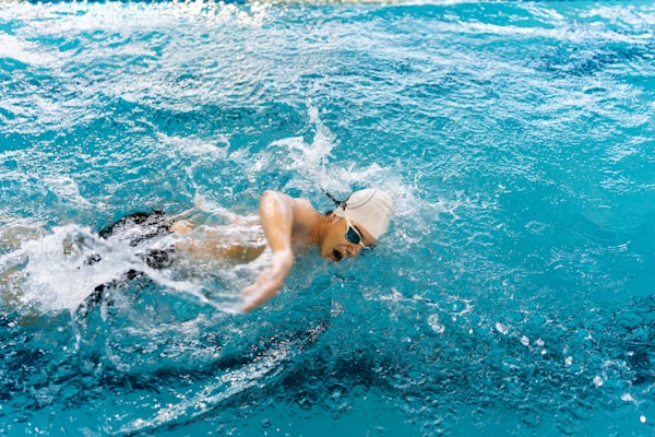 Photo by Shorty McFea on Unsplash — representative image for Dolphin Park