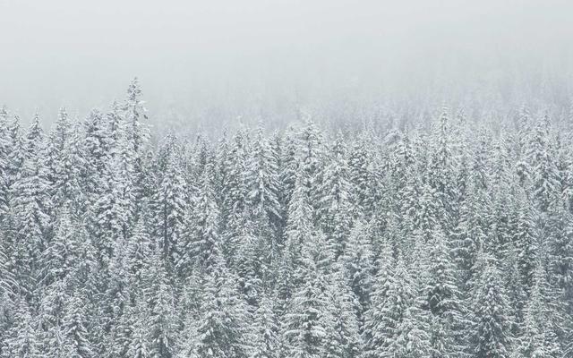 Photo by Kittitep Khotchalee on Unsplash — representative image for Five Star Restaurant