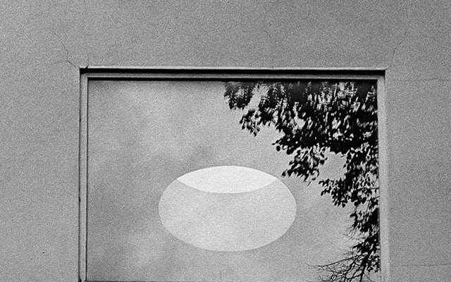 Photo by Andrej Lišakov on Unsplash — representative image for Play Pals