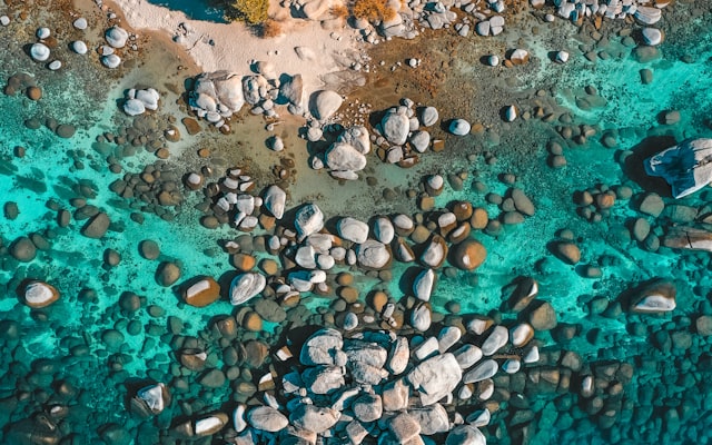 Photo by Curated Lifestyle on Unsplash — representative image for Tiny Tots