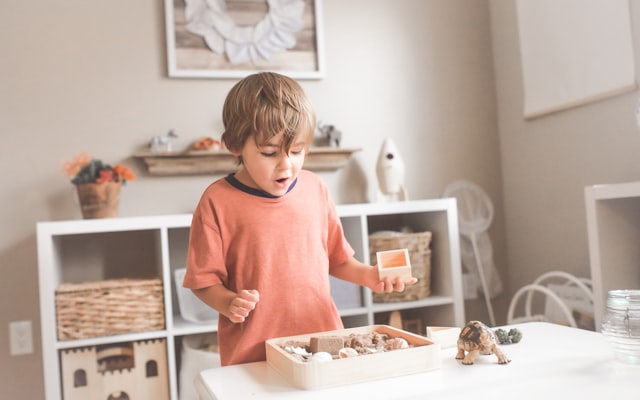 Photo by Paige Cody on Unsplash — representative image for Tiny Tots