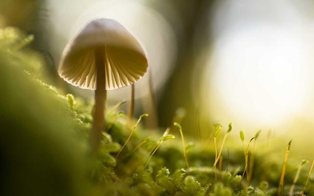 Photo by Declan Sun on Unsplash β representative image for Partial Closure: 3RD ST: WASHINGTON ST - MONROE ST (Special Event)