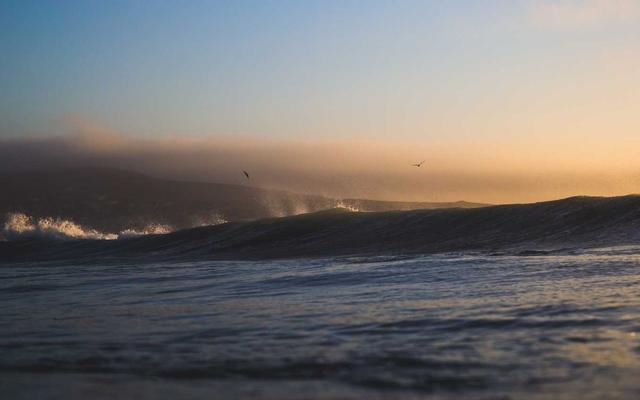 Photo by Brittani Carter on Unsplash — representative image for Thai-Pho Kitchen