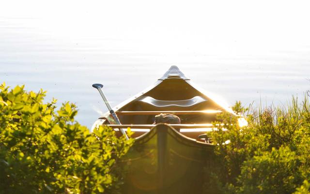 Photo by Budi Puspa Wijaya on Unsplash β representative image for White Lotus Thai Restaurant & Pho